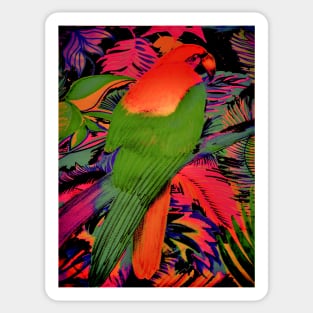 TROPICAL VIBRANT PARROT DECO ART PRINT RAINBOW COLOURS Sticker